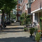IMGP3139.jpg