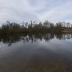 IMGP1129.jpg